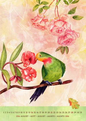 عکس با کیفیت نقاشی پرنده سبز